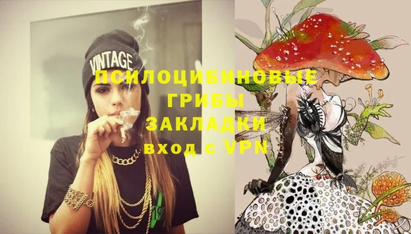 МДПВ Алзамай