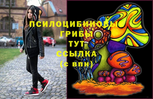 МДПВ Алзамай
