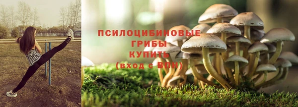 герыч Алексин