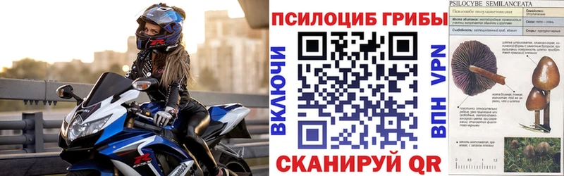 Галлюциногенные грибы прущие грибы  Лобня 